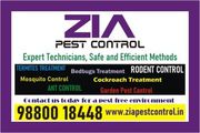  Bedbug Treatment Cockroach Treatment